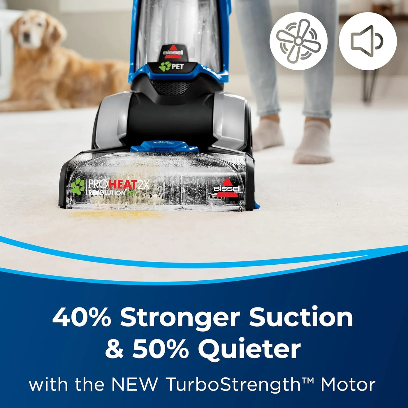 Bissell proheat 2x revolution pet sales
