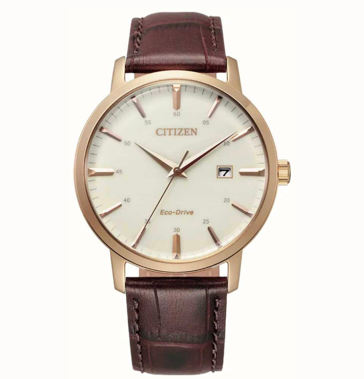 C36) Citizen Men's | Eco-Drive | White Dial | Brown Leather Strap