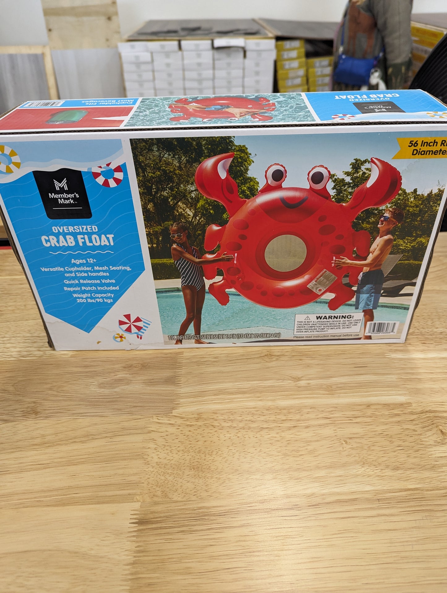 Oversized Pool Float 3 Styles