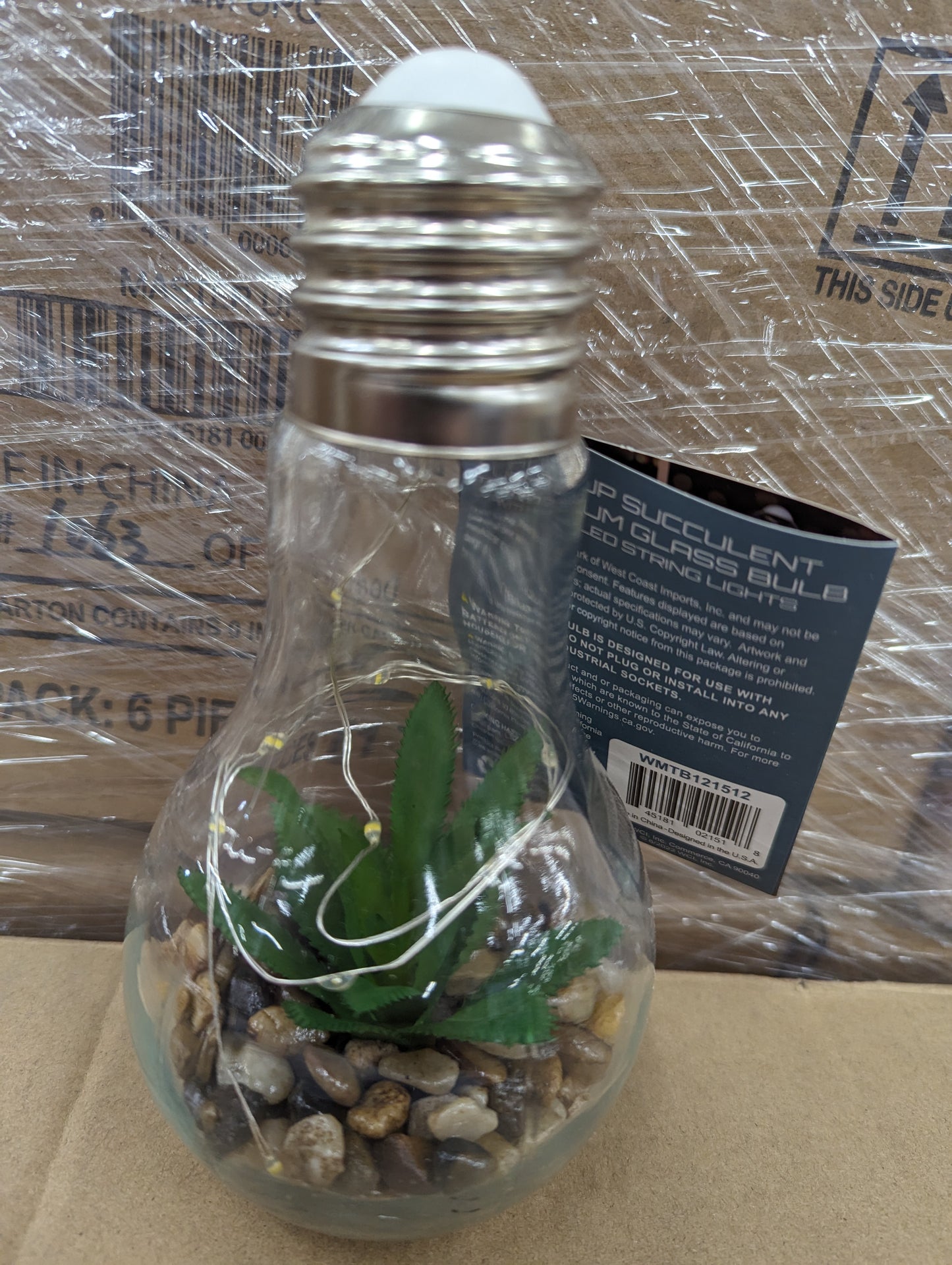 Succulent Terrarium Solar Glass Bulb