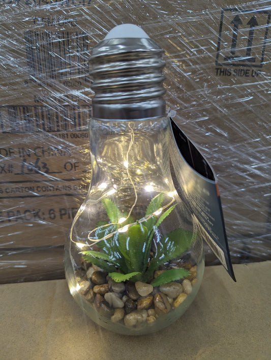 Succulent Terrarium Solar Glass Bulb